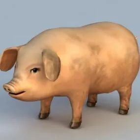 Domestic Pig 3d model