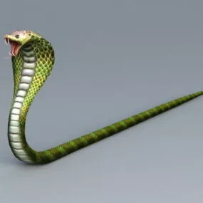 King Cobra Snake 3d model