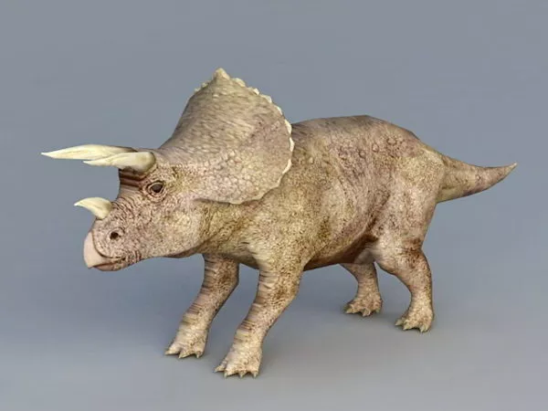 Triceratops Dinosaur 3d model Triceratops Dinosaur 3d model