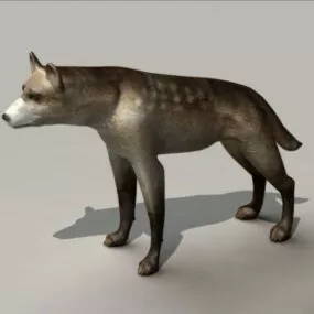 Spotted Hyena 3d model