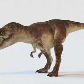 Tyrannosaurus Rex Dinosaur 3d model