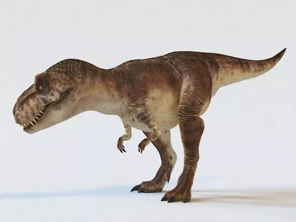 Herrerasaurus Dinosaur 3d model
