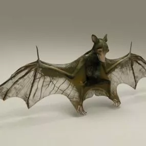 Bat Animal 3d model
