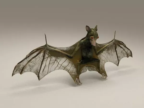 Bat Animal 3d model Bat Animal 3d model