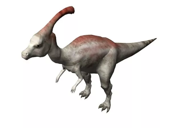 Parasaurolophus Dinosaur 3d model Parasaurolophus Dinosaur 3d model
