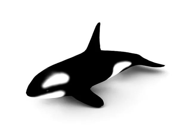Big Whale Lowpoly 3d model