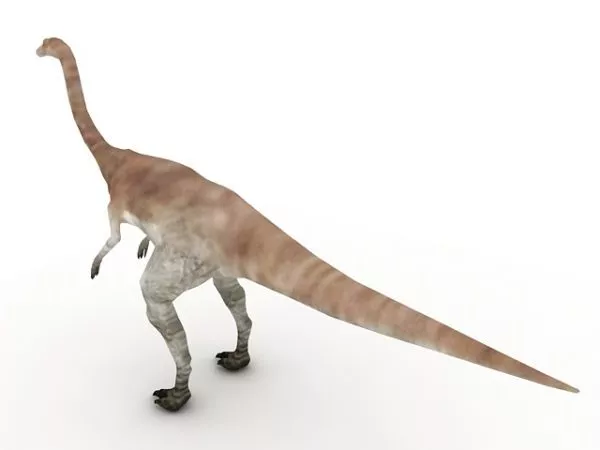 Gallimimus Dinosaur Animal 3d model Gallimimus Dinosaur Animal 3d model