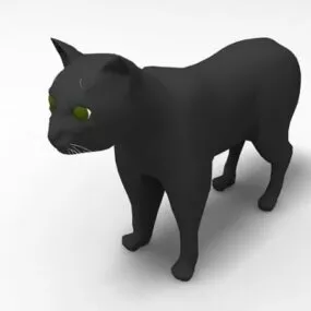 Asia Black Cat 3d model