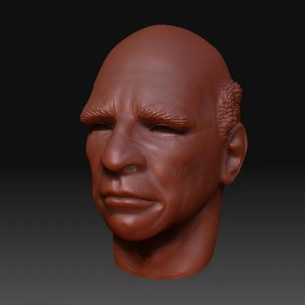 Old Man Head Sculpt Mesh 3d model Old Man Head Sculpt Mesh 3d model