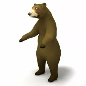 Asia Brown Bear Animal 3d model