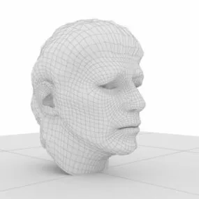 Male Head Character 3d model