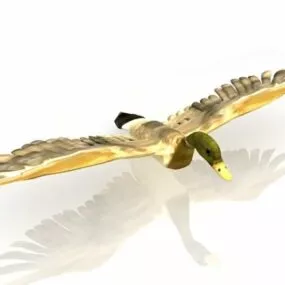 Wild Duck Animal 3d model