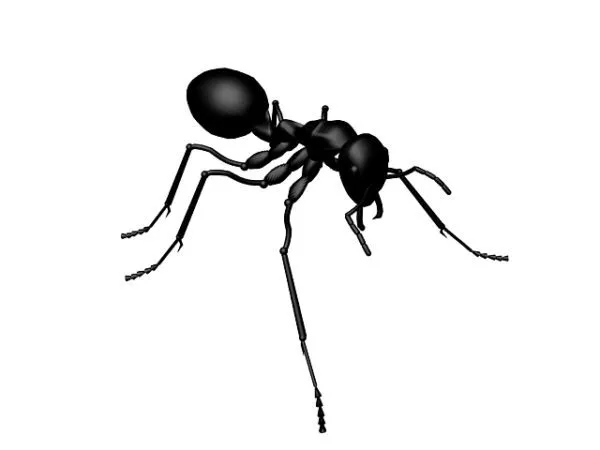 Lowpoly Black Ant 3d model