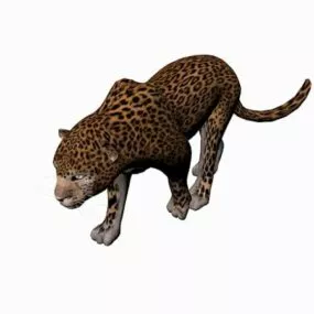 African Leopard Animal 3d model