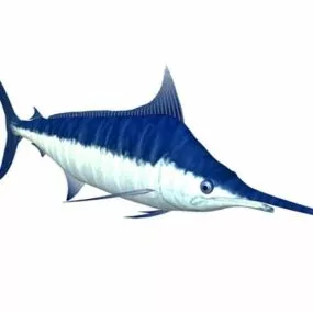 Blue Marlin Fish Animal 3d model