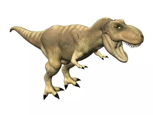 Dinosaur Track 3d model
