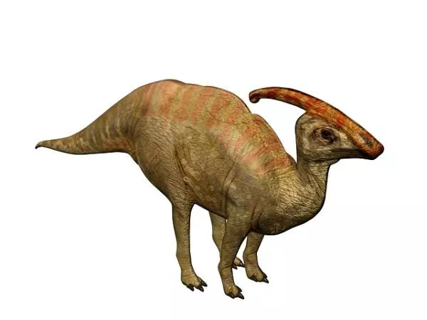 Dinosaur Skull 3d model