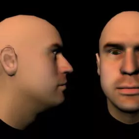Base Man Head Character 3d model
