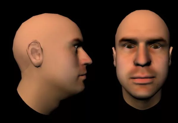 Man Head Medium Polygon 3d model