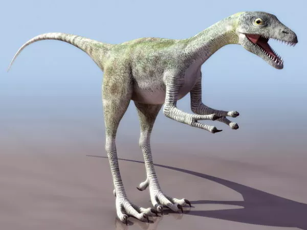 Compsognathus Dinosaur Animal 3d model Compsognathus Dinosaur Animal 3d model