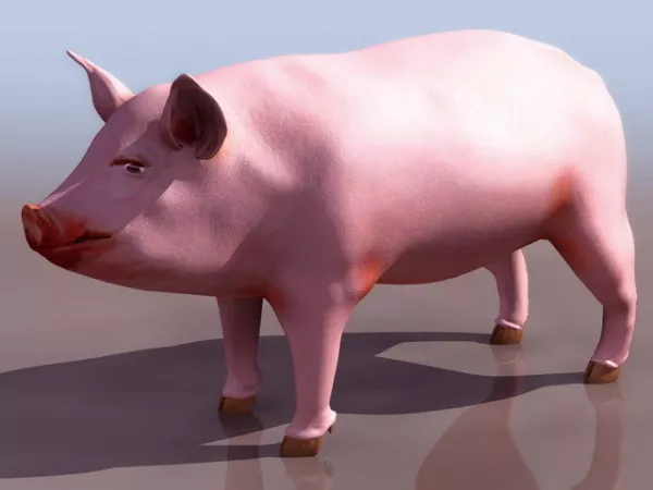 Pig 3d model Pig 3d model
