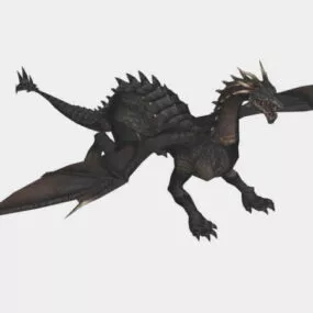 European Dragon 3d model