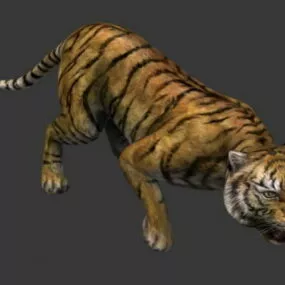 Asia Bengal Tiger 3d model