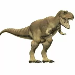 Tyrannosaurus Rex Dinosaur 3d model