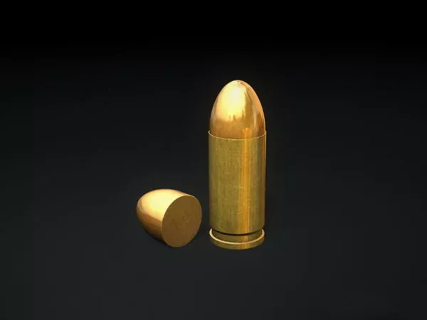 Shotgun Shell Gun Bullet 3d model