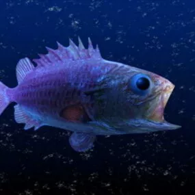 Abyssal Fish 3d model