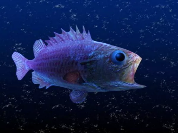 Abyssal Fish 3d model Abyssal Fish 3d model