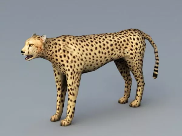 Lowpoly Cheetah Leopard 3d model