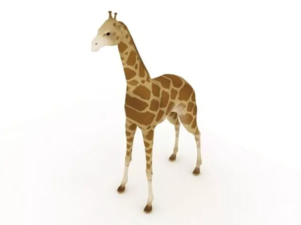 Beautiful Wild Giraffe 3d model