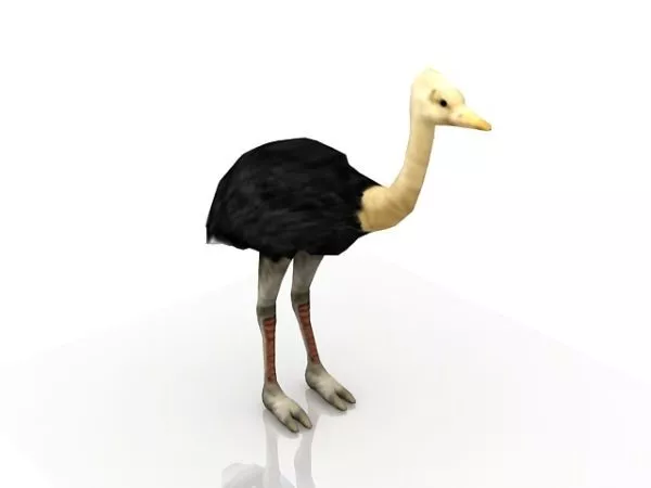Robot Eagle Bird 3d model