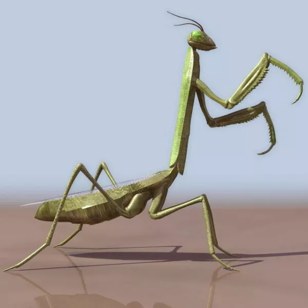 Gold Mantis Animated With Rig 3d model
