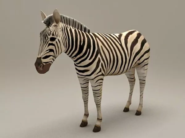Zebra Rigged 3d model