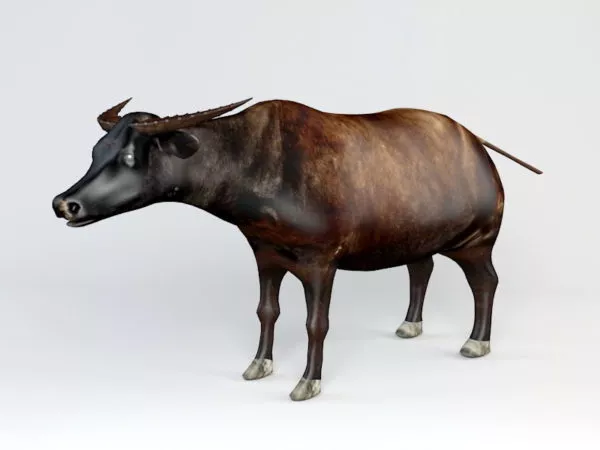 Bison Buffalo 3d model