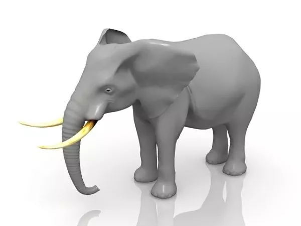 Animal African Bush Elephant 3d model Animal African Bush Elephant 3d model