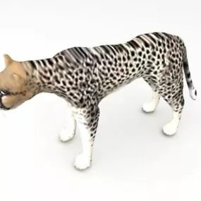 African Cheetah Animal 3d model