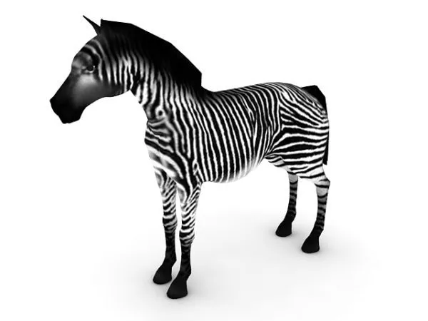 African Zebra Animal 3d model African Zebra Animal 3d model