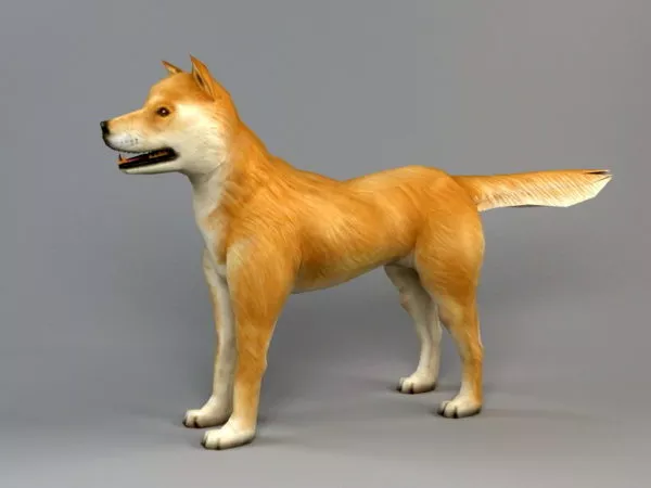 Husky Dog Rigged 3d model