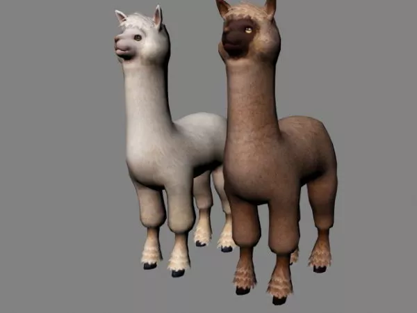 Alpaca Animal 3d model Alpaca Animal 3d model