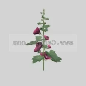 Althaea Rosea Plant 3d model