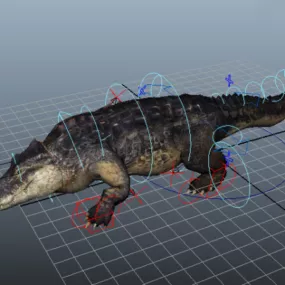 American Crocodile Rig 3d model