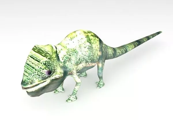 Lizard Animal Crawling 3d model
