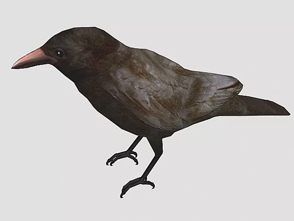 Art Bird Sketch Style 3d model