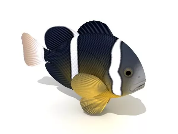 Scifi Bot With Aquarium Center 3d model