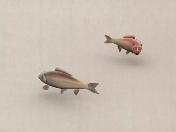 Animated Chinese Fish Painting 3d model Animated Chinese Fish Painting 3d model