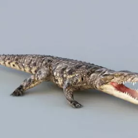 Animated Crocodile Rig 3d model