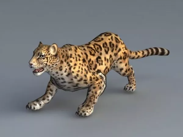 Animated Jaguar Animal 3d model Animated Jaguar Animal 3d model